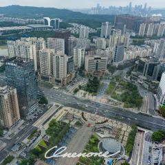 鴻福酒家（地王大廈店）張用戶圖片