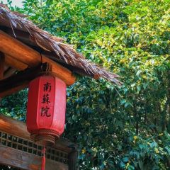 南蘇院 User Photo