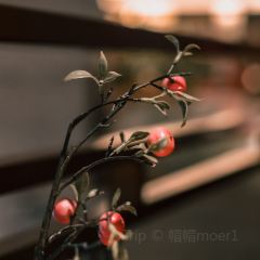 喜院 User Photo