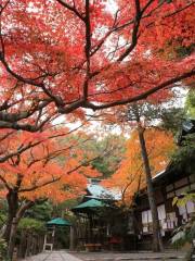 Kamakura-gū