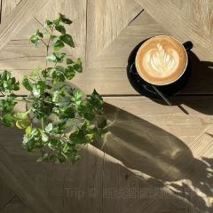 LOSTCAFE User Photo