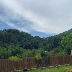 嵐舍山居張用戶圖片