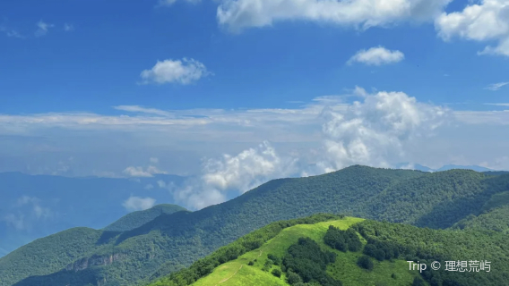 Huanghualiang Ecological Park