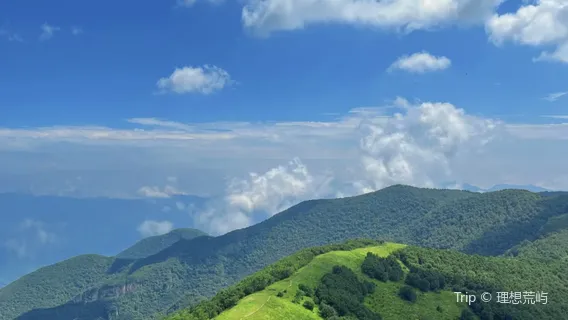 Huanghualiang Ecological Park