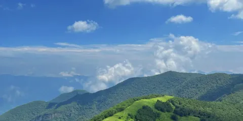 黃花樑生態公園