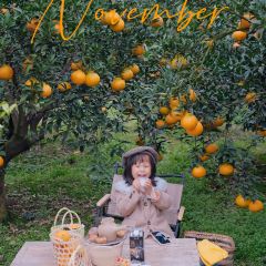 小馆·苔野 User Photo