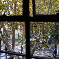 Italo Trattoria User Photo