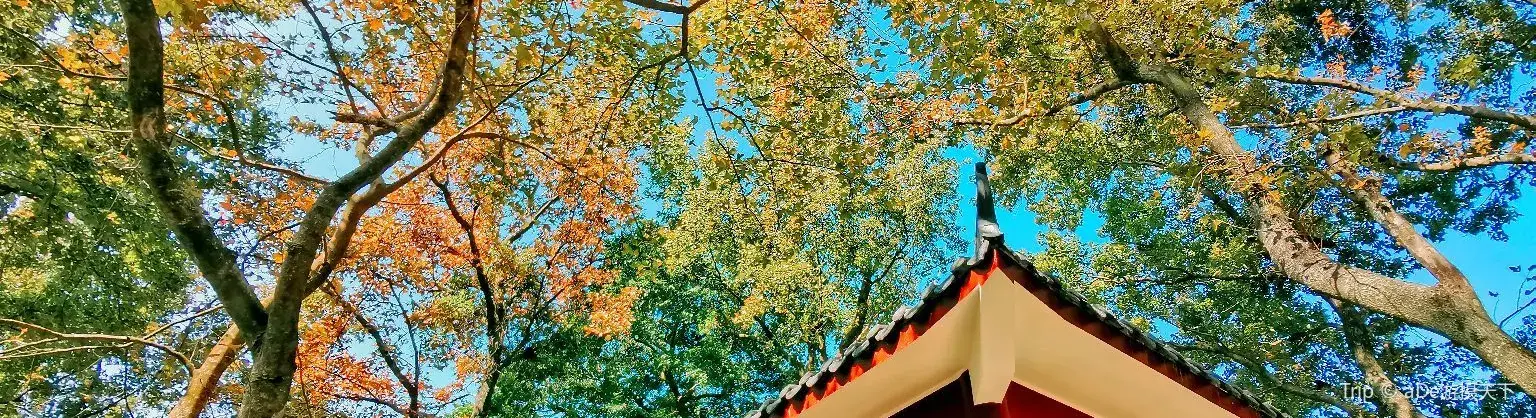 Attrazioni per la visione autunnale