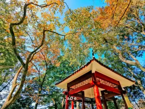 Shimen National Park