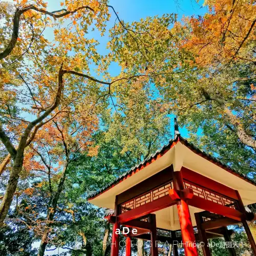 Top 20 Fall Viewing Attractions in Guangzhou