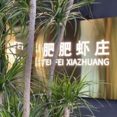FEI FEI HA ZHUANG User Photo