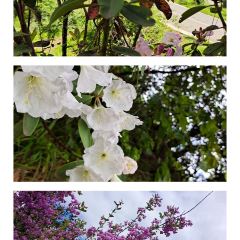 灶台鱼 User Photo