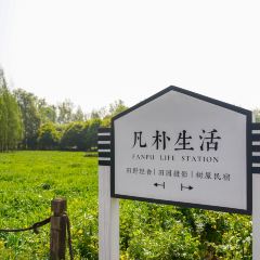 Fanpu Life User Photo