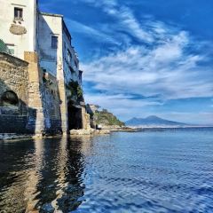 Trattoria Da Procida User Photo