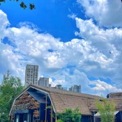 西湖鱼港(溪悦荟店) User Photo