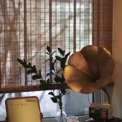 on today User Photo