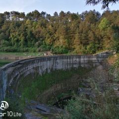 新桥河老鱼店 User Photo