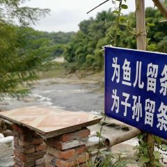 艾叶土鸡脚(艾叶店) User Photo