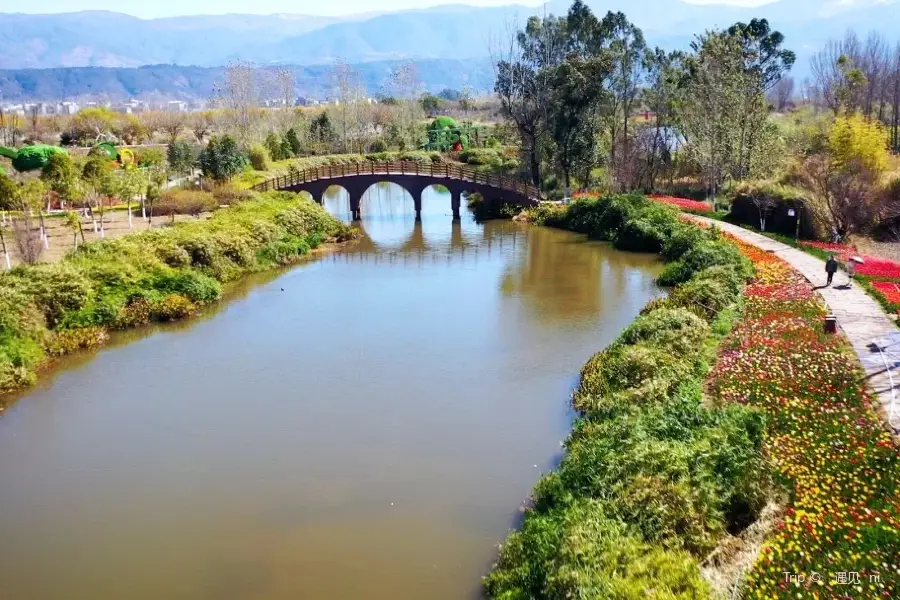 夢尋花海濕地公園