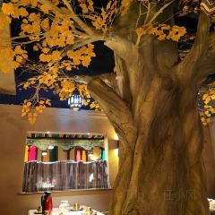 楼兰秘烤(哈密上海新城店) User Photo