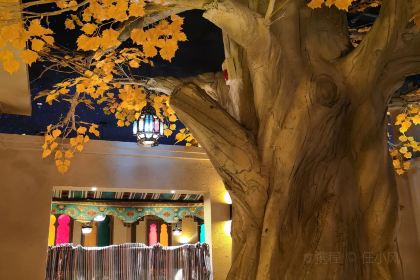 楼兰秘烤(哈密上海新城店)