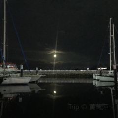 Marina Buffet User Photo