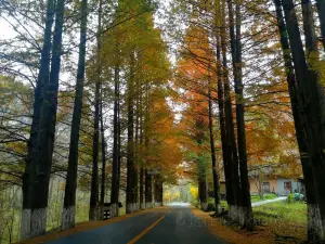 Gaojiang Road