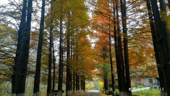 Gaojiang Road