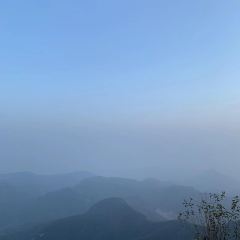 WU ZHI LING DA WAN CAI User Photo