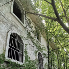 鐘大叔桂花烤羊用戶圖片