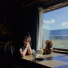 禾慕咖啡商店 User Photo