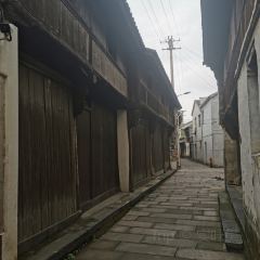 前良麦镬 User Photo
