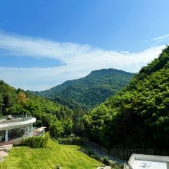 PLANB·釉白民宿·白月光餐厅 User Photo