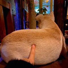 798小酒馆(裕后街店) User Photo