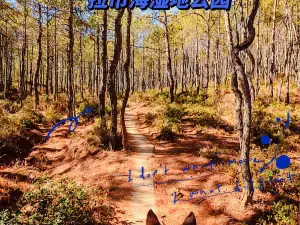 Top 10 Fall Viewing Attractions in Yulong