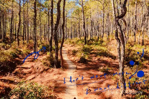 위룽쉐산(옥룡설산)