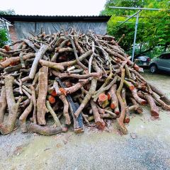 TU ZAO REN GU ảnh của người dùng