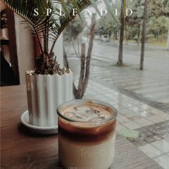 虹里咖啡(玉兰园店) User Photo