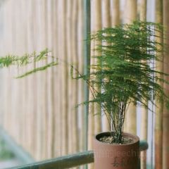 个园私厨 User Photo