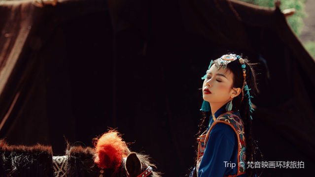 fan yin ying hua huan qiu lv pai