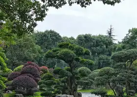 Quyuan Park