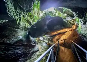 Te Anau Glowworm Caves - RealNZ