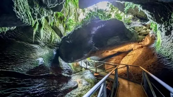 Te Anau Glowworm Caves - RealNZ