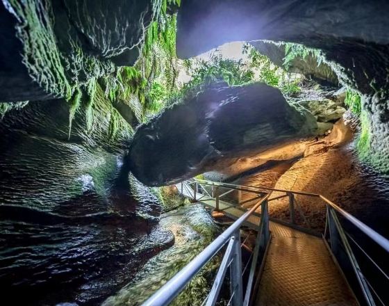 蒂阿瑙 自由行套票