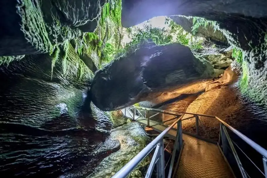 Te Anau Glowworm Caves - RealNZ