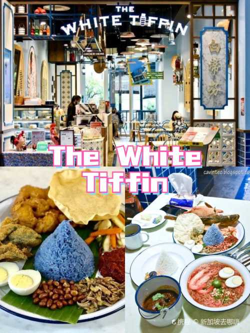 The White Tiffin (Changi City Point)
