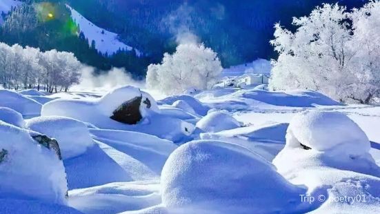 新疆伊犁新源巩乃斯大山雪景，目之所及的冰雪世界有了通透感，神