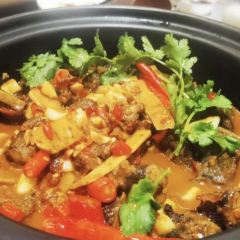 联盟滋味黄莲树下 User Photo