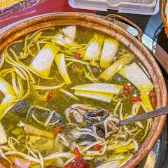 雲南天麻火腿雞張用戶圖片