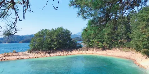 蛇島
